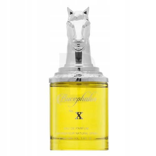 Armaf Bucephalus No. X parfémovaná voda pro muže 100 ml