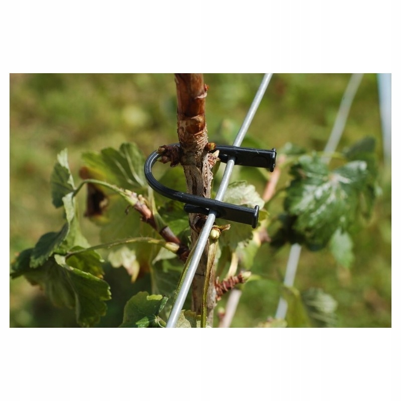 Rema 1092 Univerzální Klip délka 70 mm, balení 1000 ks