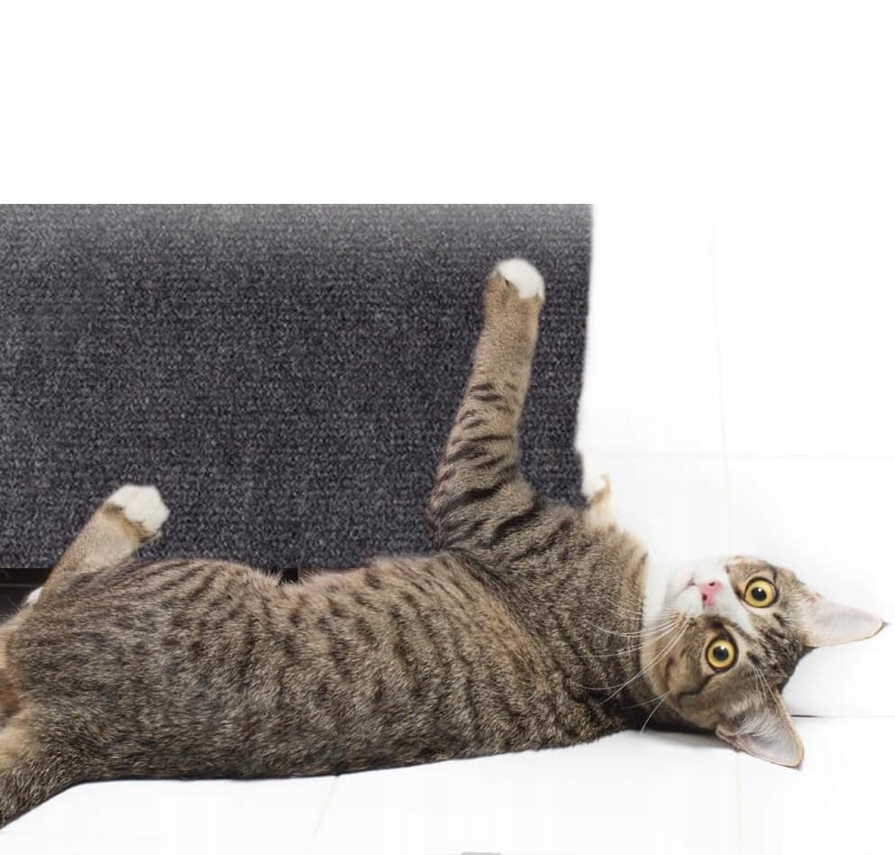 Levně Nízký škrabák, stropní škrabadlo, vysoký škrabák, škrabací podložky