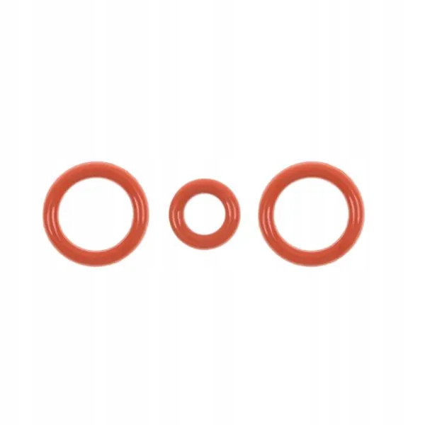 Saeco zawór uszczelka nr 9