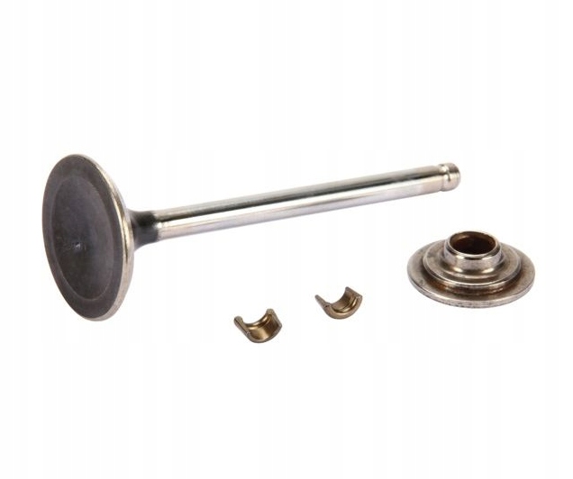 ZAWÓR WYDECHOWY BRIGGS & STRATTON 792868