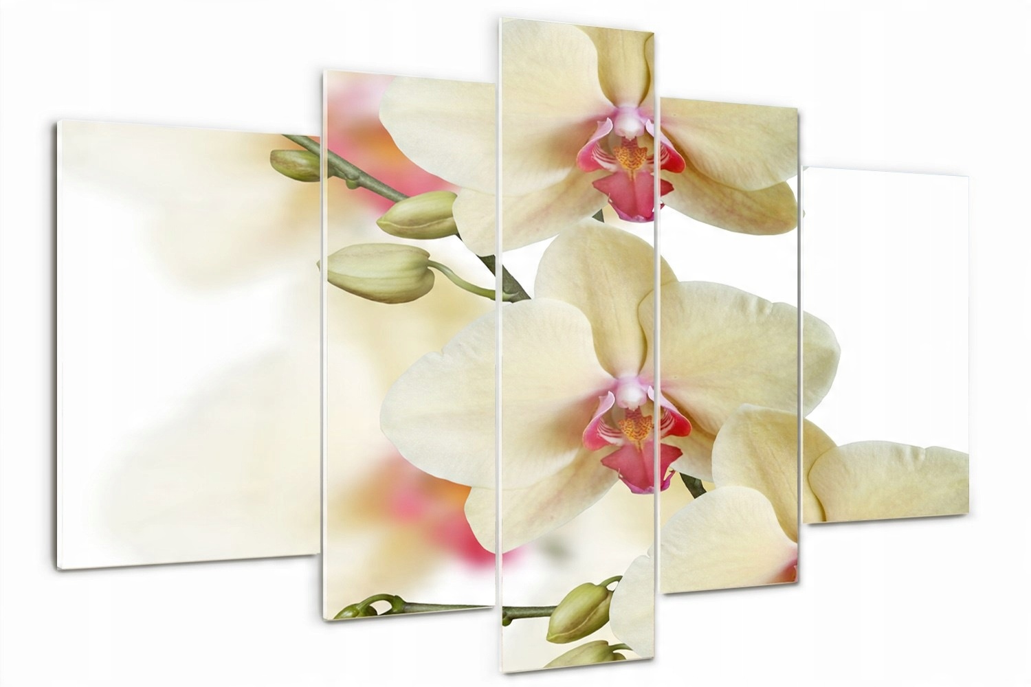 

Foto Obraz szklany tryptyk nowoczesny Orchidea