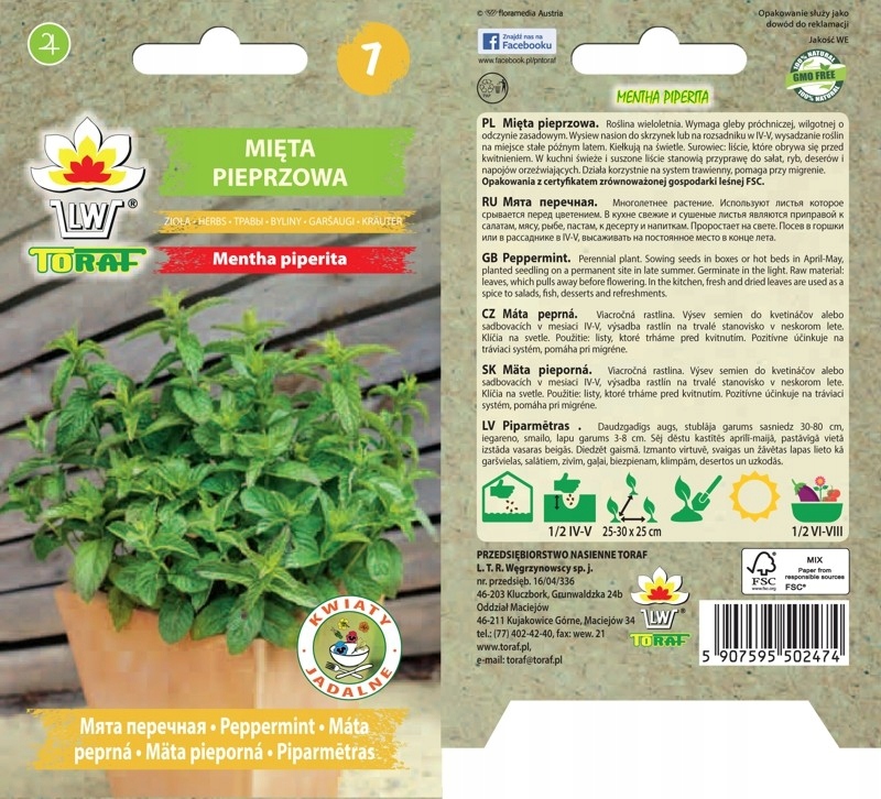 Nasiona Mięta okrągłolistna, 0,1g — 4