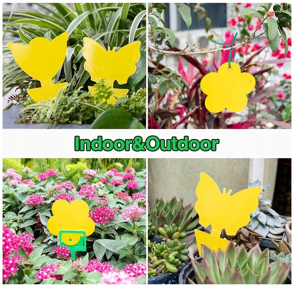 Lepka pułapka na muchy komary dwustronny Mafiti 40 Producent inna