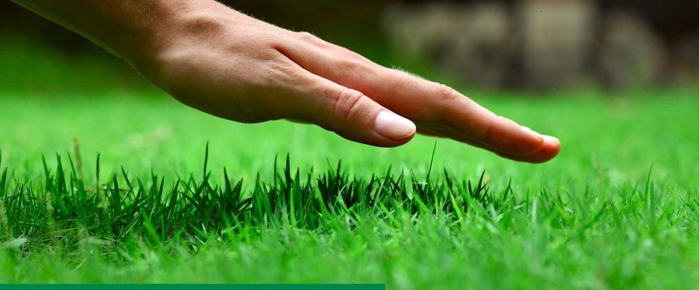 Mocznik Pulrea polski 25 kg azot Pojemność 25 l