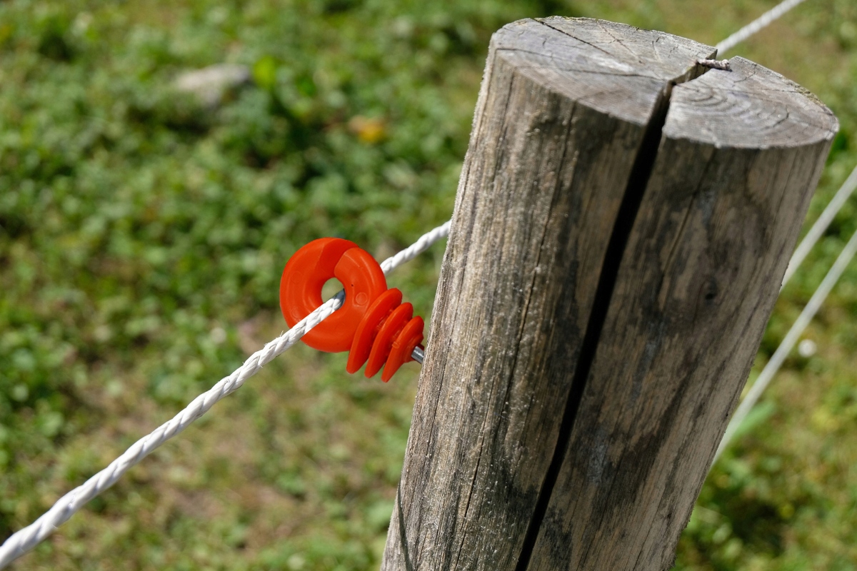 IZOLATORY DO PASTUCHA WKRĘCANE DO DREWNA do LINKI DRUTU PLECIONKI 100 SZT Kolor inny kolor