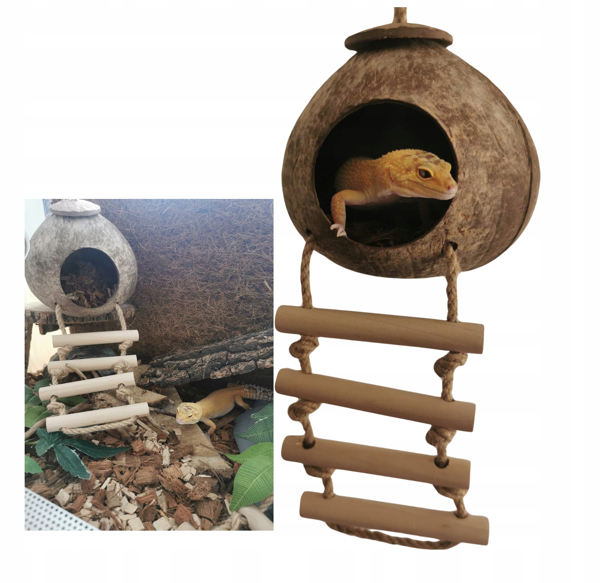 Budka domek dla gryzoni PAPUG GADÓW kryjówka łupina KOKOSA Q21 polerowana M