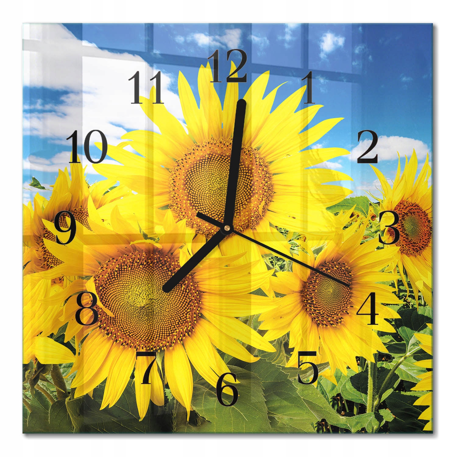 Elegantní čtvercové skleněné hodiny na zeď se vzorem Slunečnice 30x30 cm