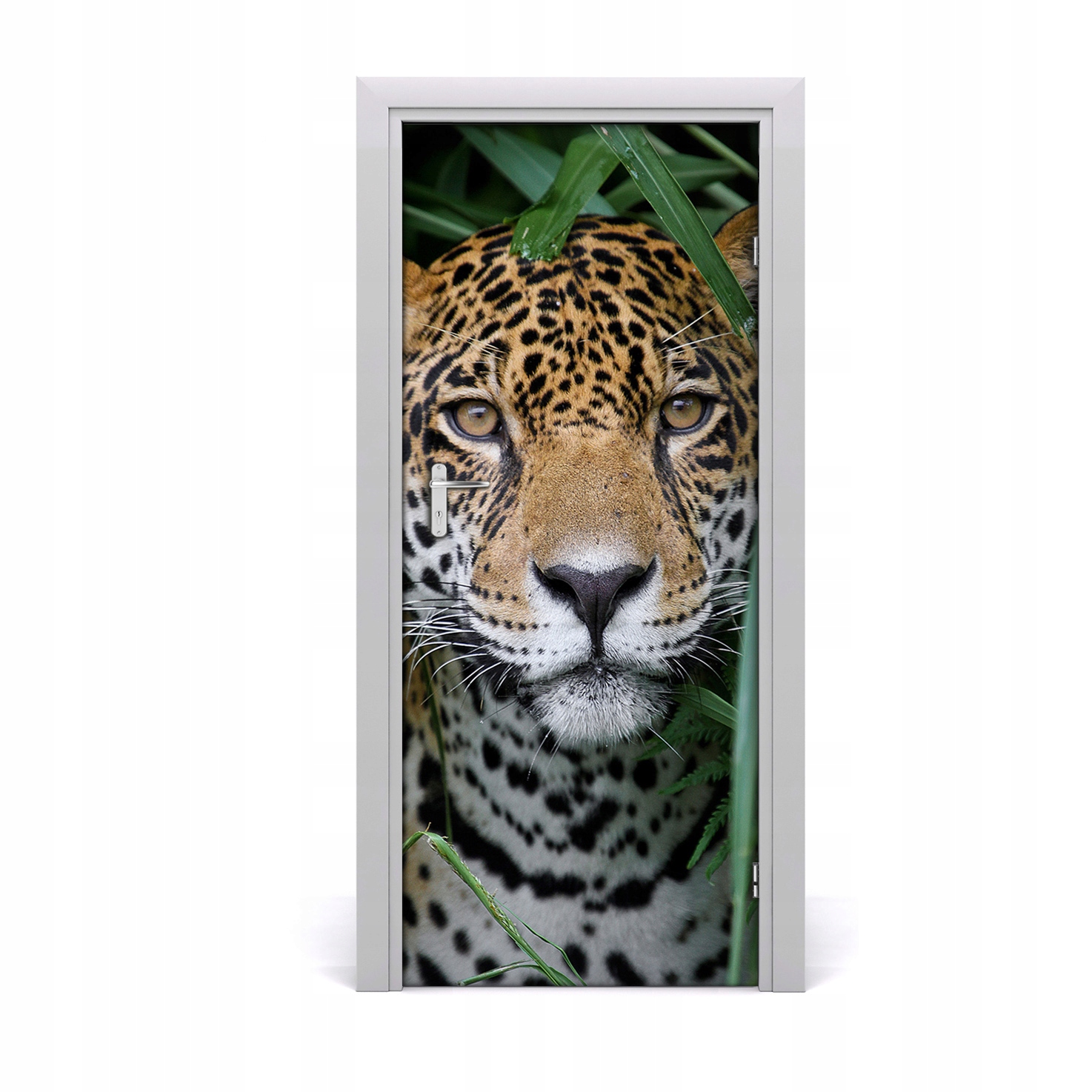 

Fototapeta samoprzylepna na drzwi Jaguar w amazoni