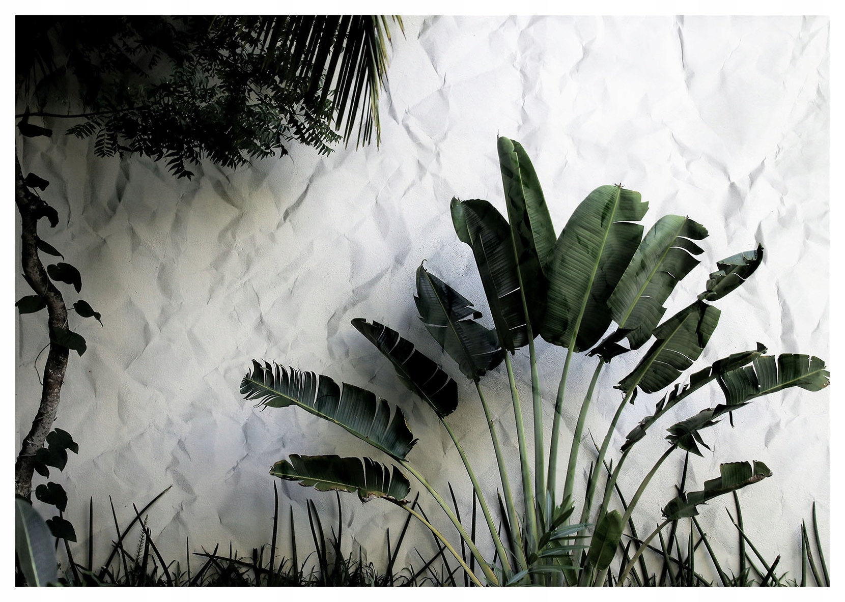 Tapeta Tropické listy vinylová 254x184 Tropický design na zeď lepidlo