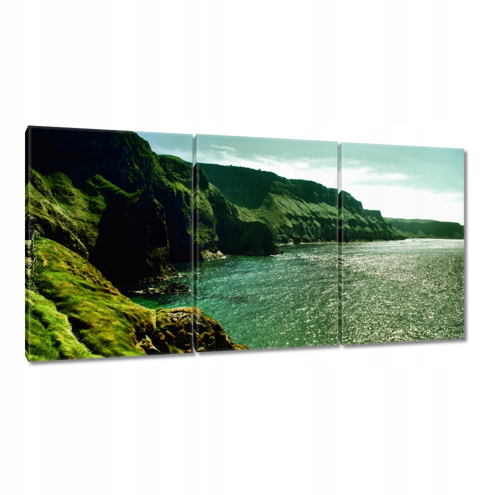 

Obrazy 120x60 Carrick a Rede