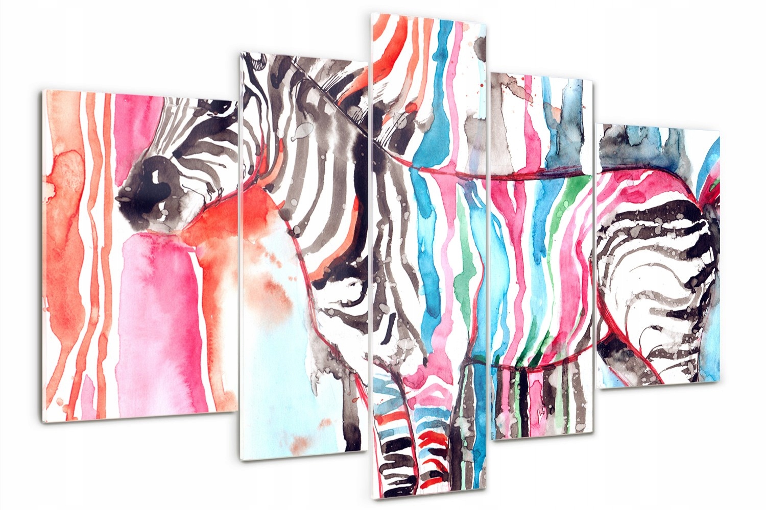 

Foto Obraz szklany duży tryptyk Kolorowa zebra