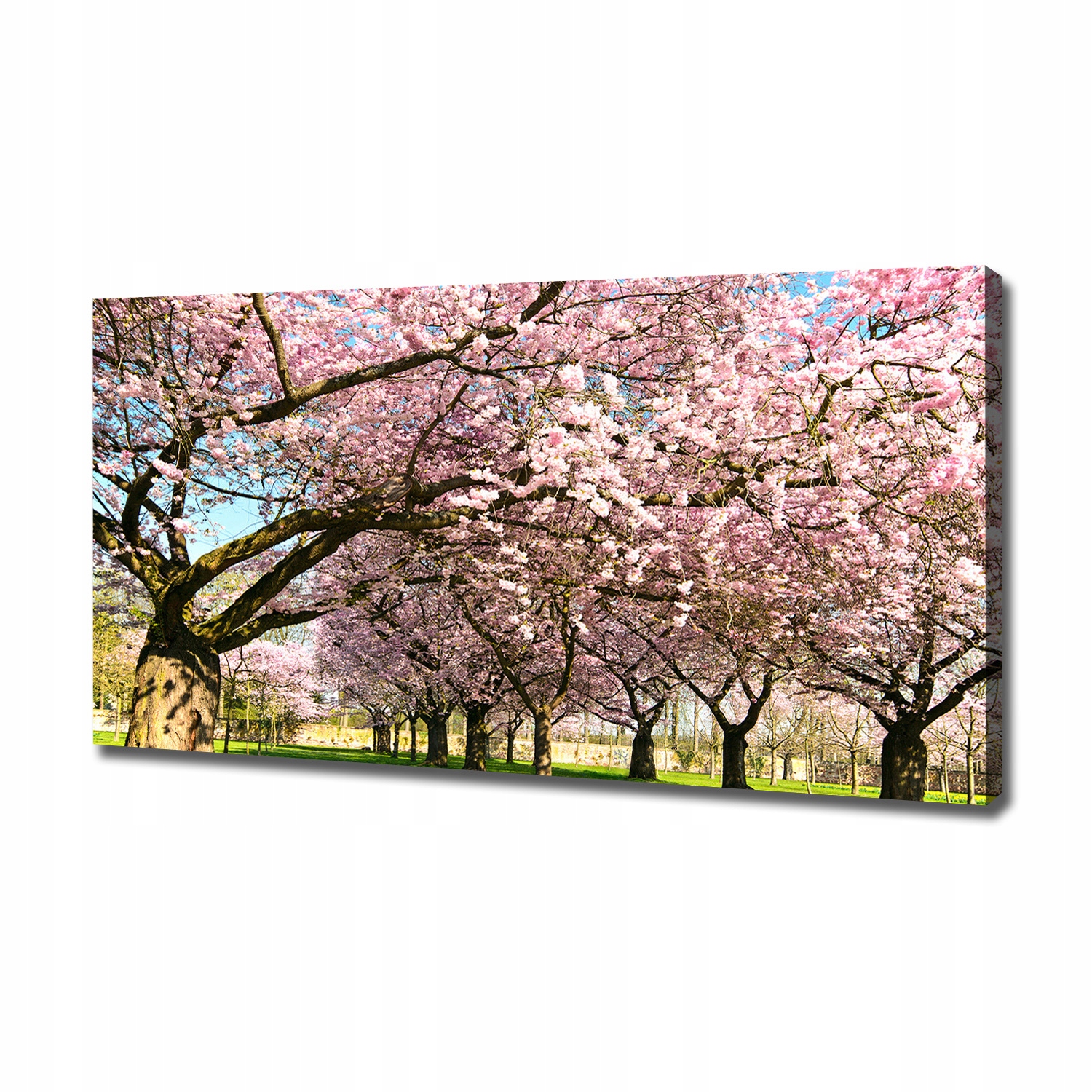 

Duży foto obraz na płótnie Drzewa wiśni 120x60 cm