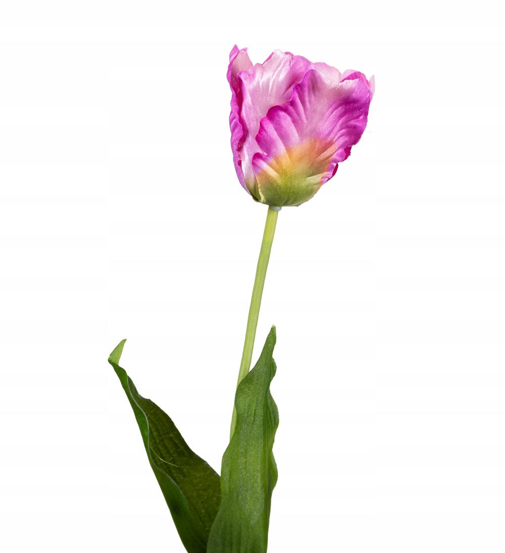 

Tulipan Fioletowy Tulipany Sztuczne Wiosna