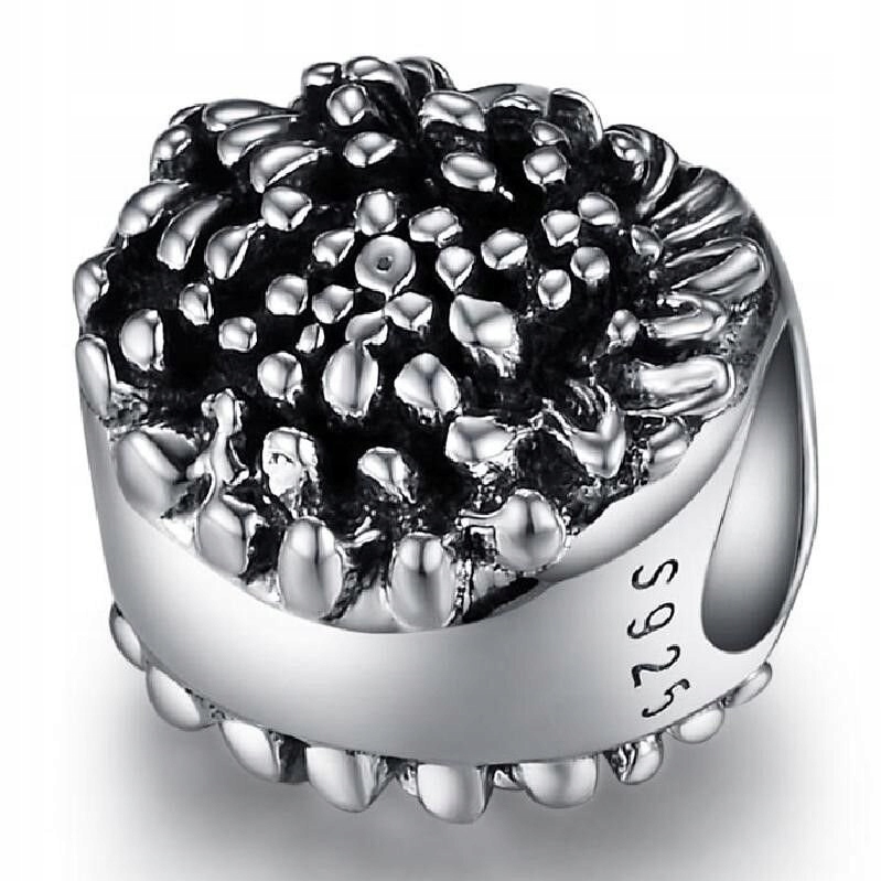 

Charms Beads do Pandora Srebro 925 Rodowane