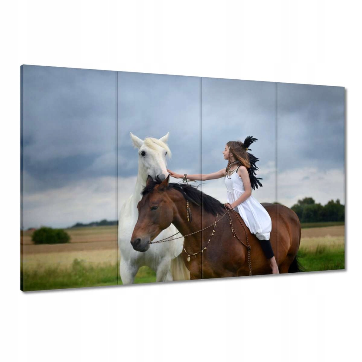 Obrazy 120x80 Kůň Koně Jezdectví