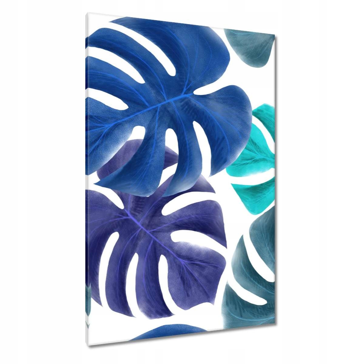 Obrazy 80x120 Monstera Listy Modrá