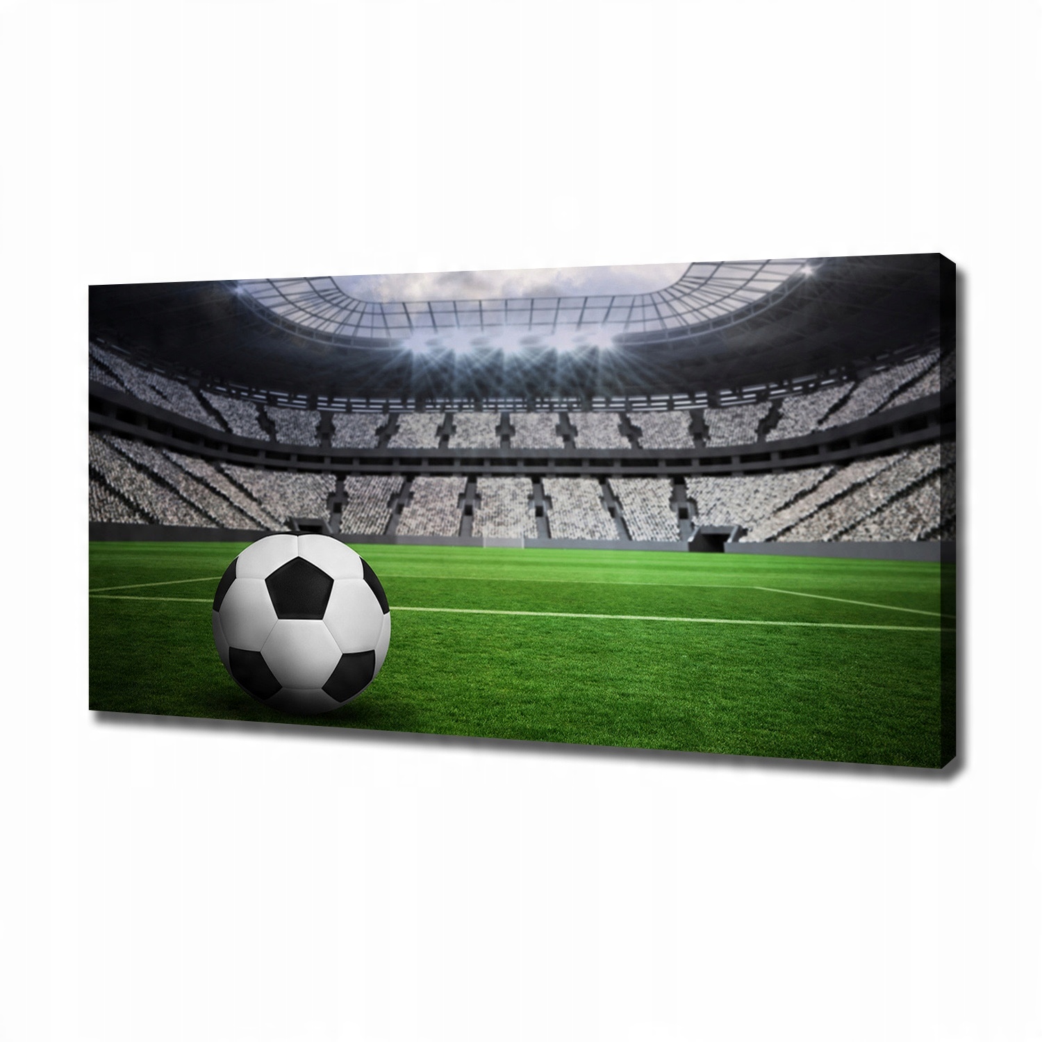 

Foto obraz na płótnie Piłka na stadionie 120x60 cm