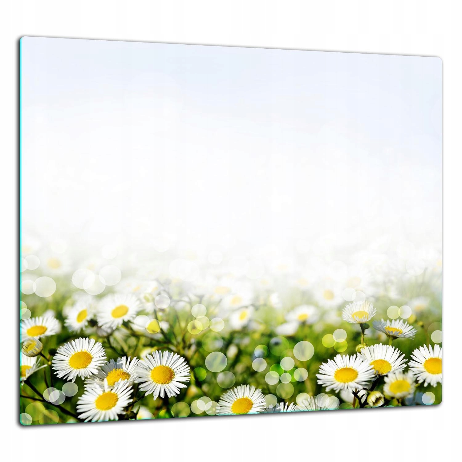 

Szklana Płyta Ochronna Panel Klej 65x60 Kwiaty