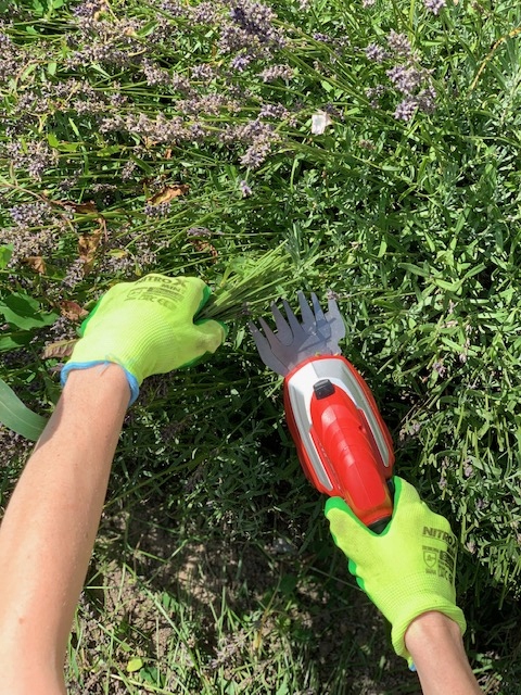 MEEC TOOLS AKUMULATOROWE NOŻYCE DO CIĘCIA PODCINANIA TRAWY KRZEWÓW ŻYWOPŁOT Maksymalna grubość ciętej gałęzi 8 mm