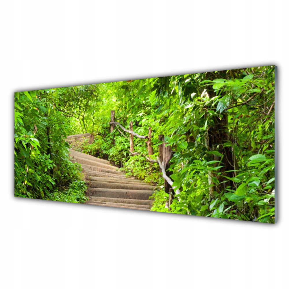 

Fotoobraz ścienny na ścianę 125x50 Schody Natura