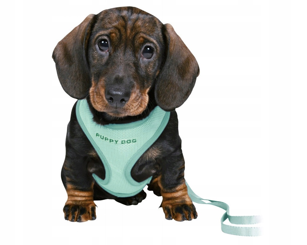 

Junior szelki ze smyczą dla szczeniaka psa miękkie