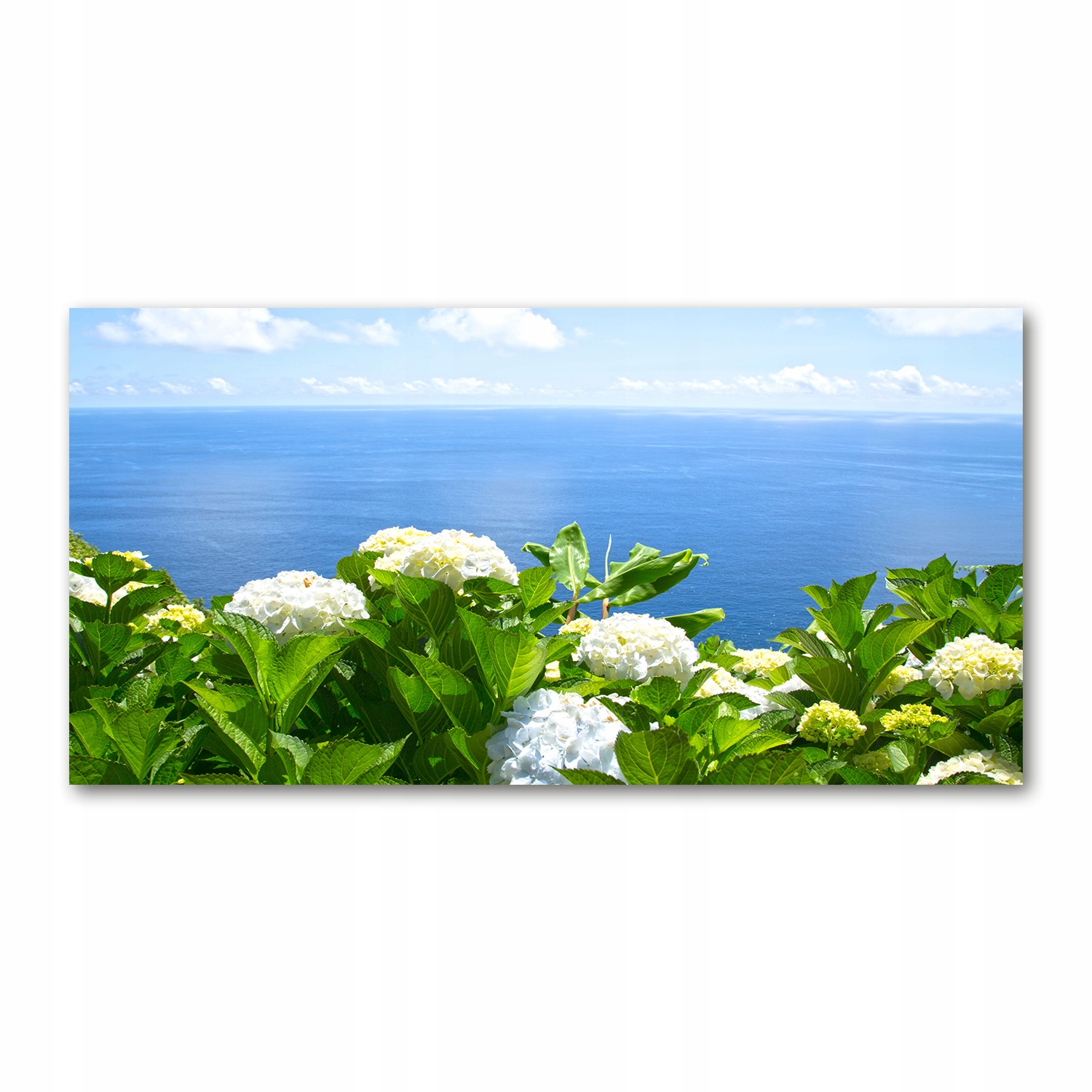 

Foto-obraz akrylowy Kwiaty nad morzem 140x70 cm