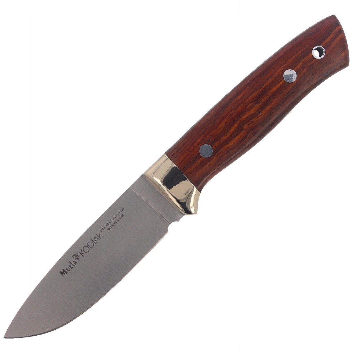 Nůž Muela Full Tang Cocobolo Wood Ocel X50CrMoV15 Kožená pouzdro