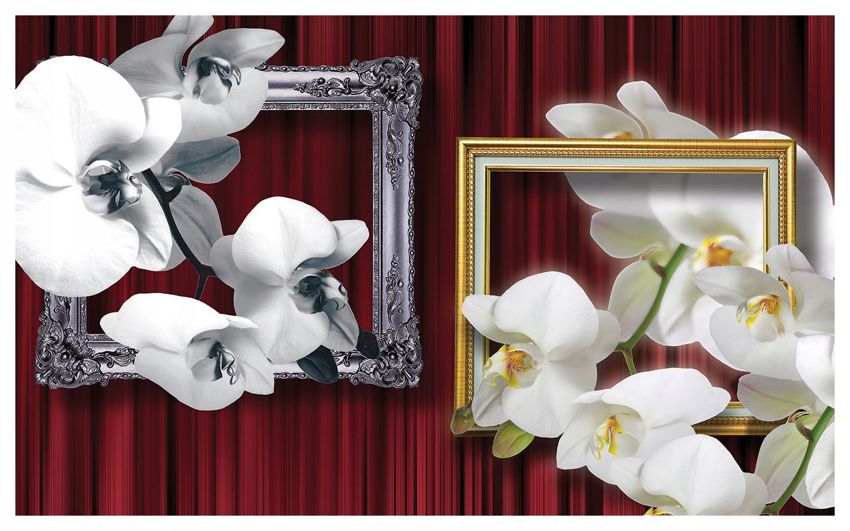 Fototapeta Biele orchidey v striebornom zlatom rámčeku Elegancia 416x254 lepidlo