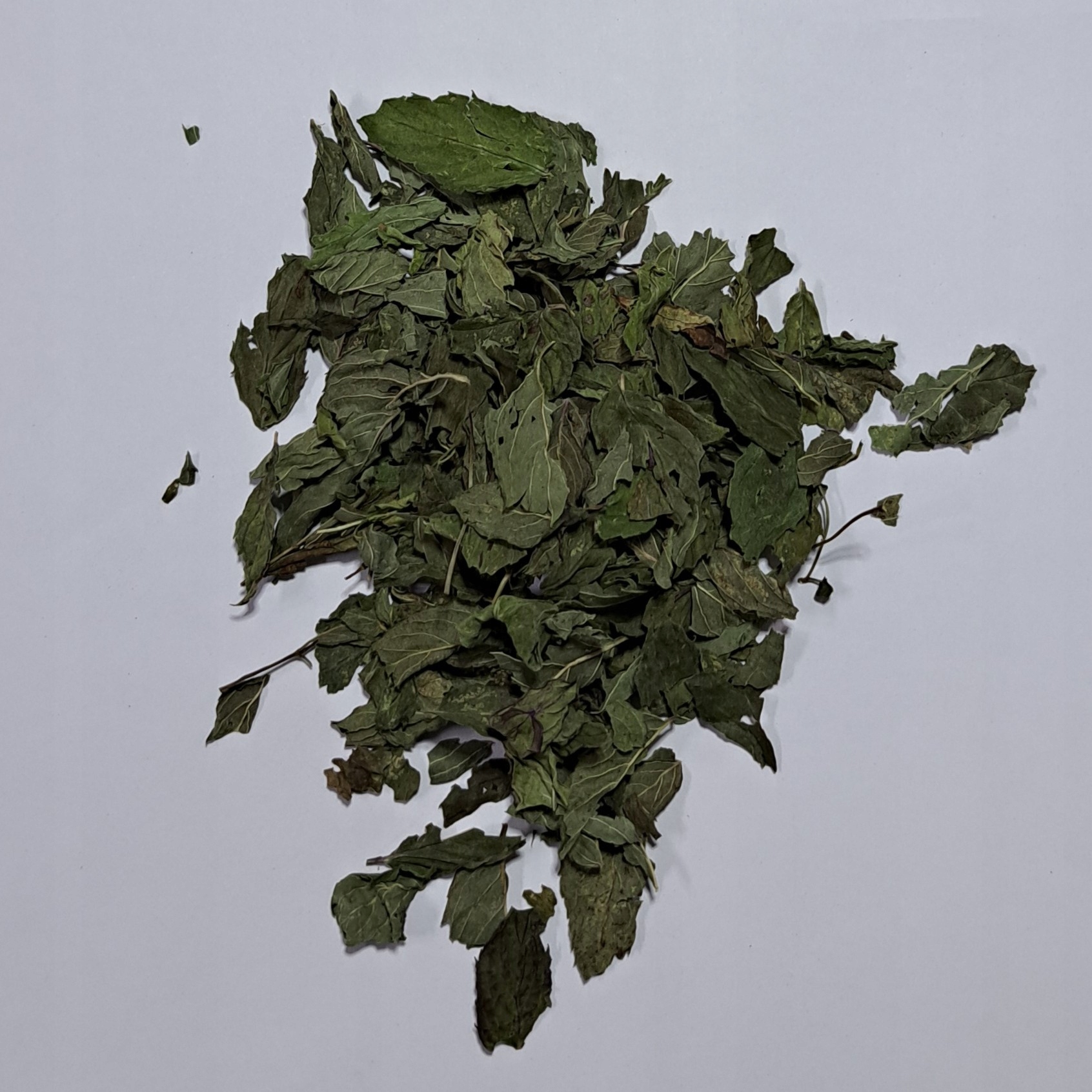 Levně Máta Celý list 1 kg Rafex