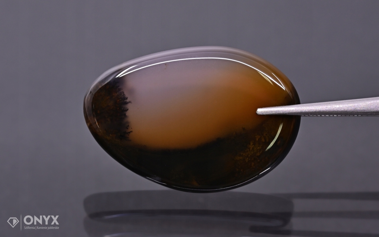 Dendritový achát z Kazachstánu konvexní dlaždice nere