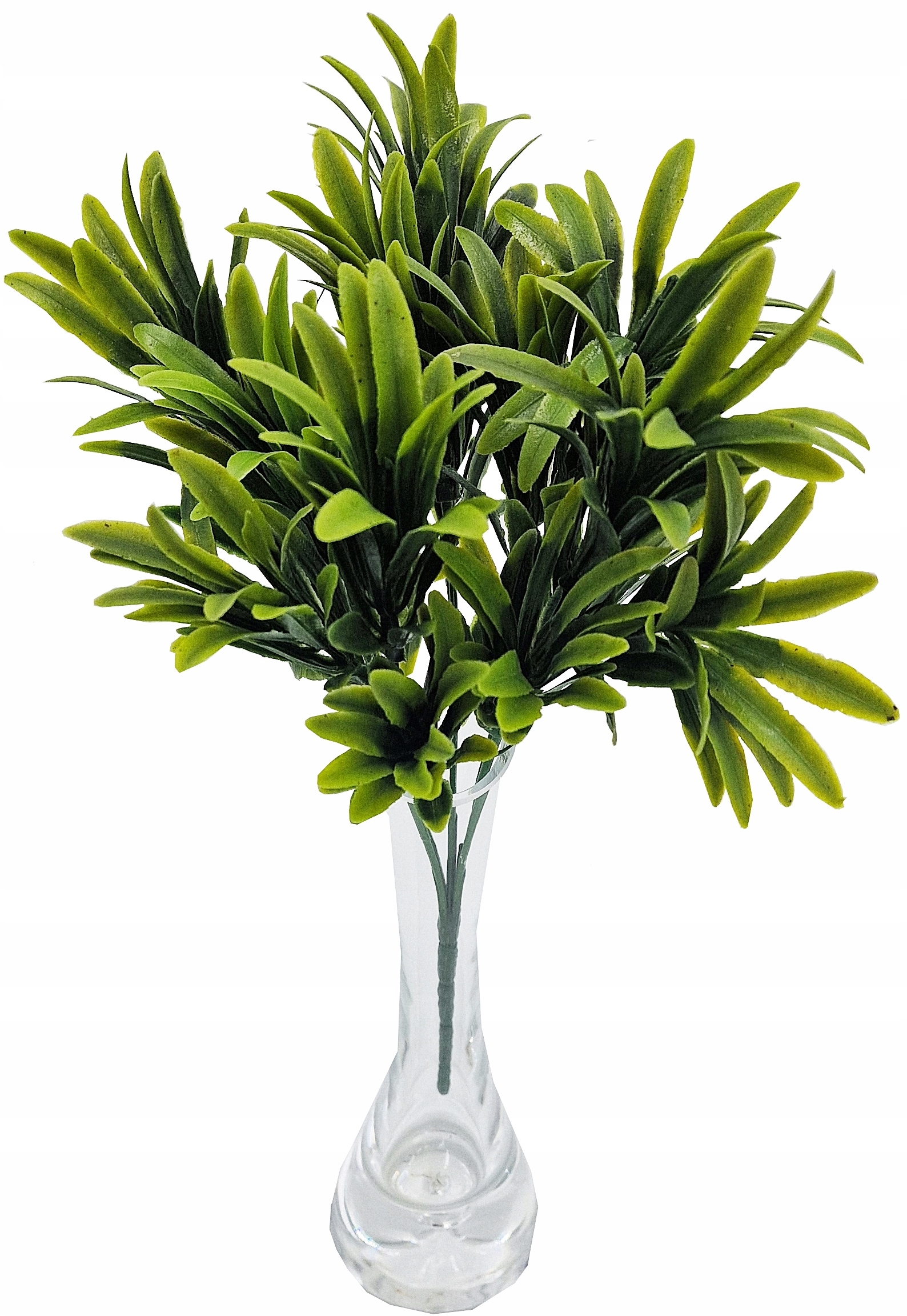 BUKIET DS027 RUSKUS 28cm LIŚCIE LISTKI roślina