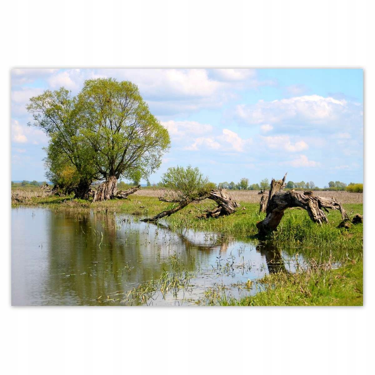 Plakáty 200x135 Warta