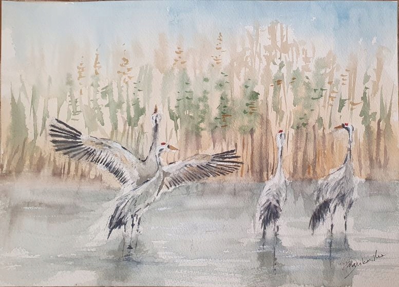 Akwarela Obraz Pejzaż Ptaki nad wodą