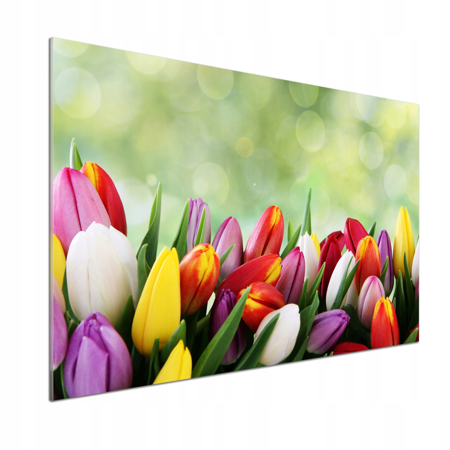 Panel do kuchyne Farebné tulipány 100 x 70 cm Lepidlo