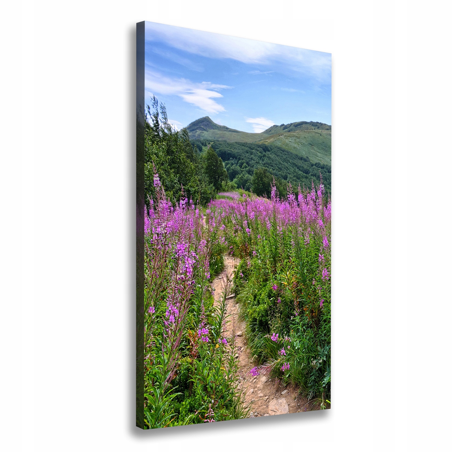

Foto obraz na płótnie do salonu Bieszczady 60x120