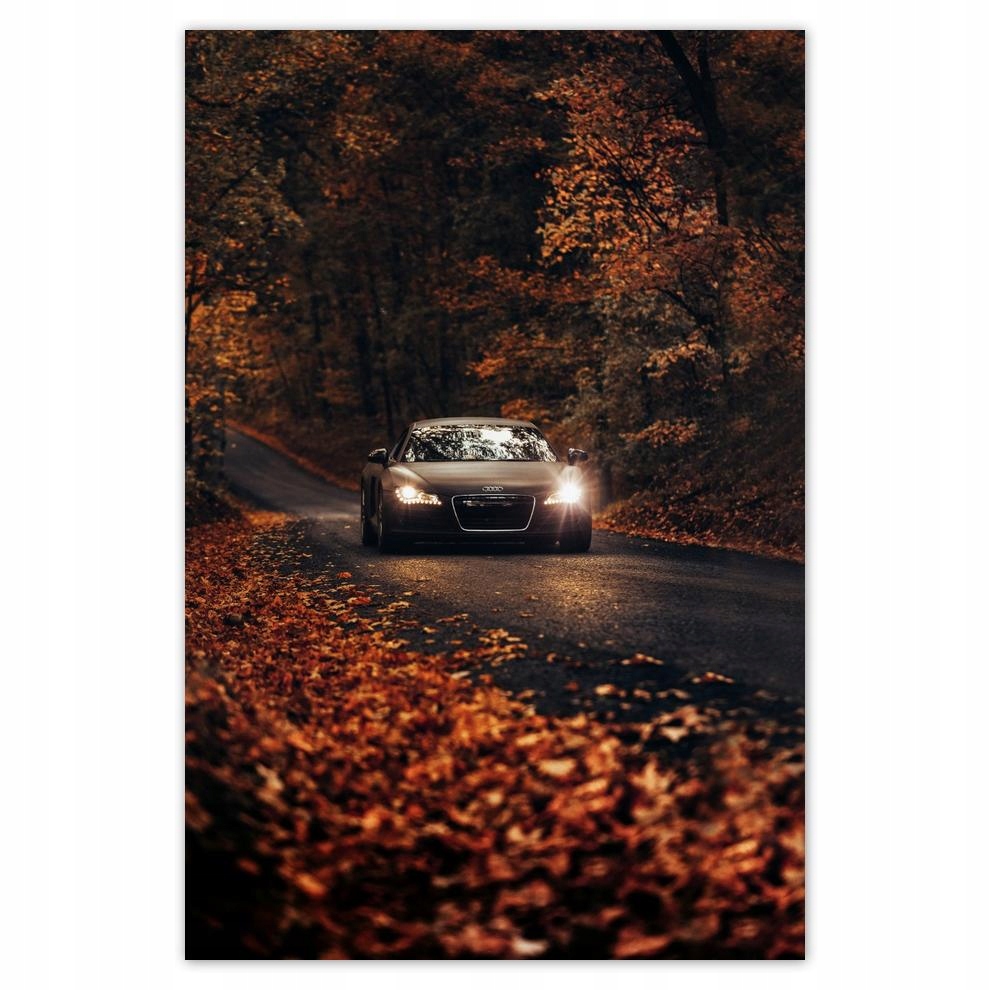 

Plakaty 40x60 Audi Jesienny pejzaż