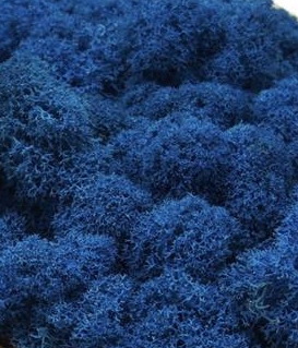 Mech Chrobotek Fiński - niebieski - 100g Marka bez marki