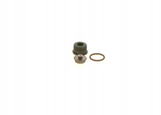 ZESTAW NAPRAWCZY COMMON RAIL F 00N 201 244 BOSCH