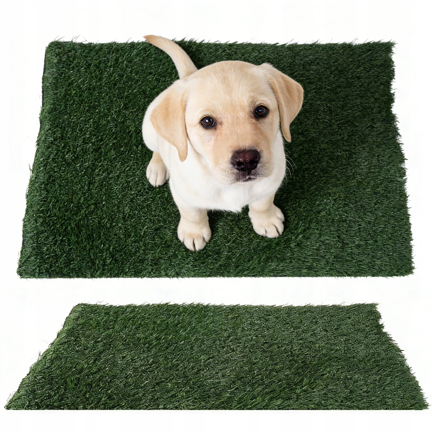 Levně 2 ks Toaleta pro psy z přírodní trávy 51*63 cm, víceúčelová toaleta