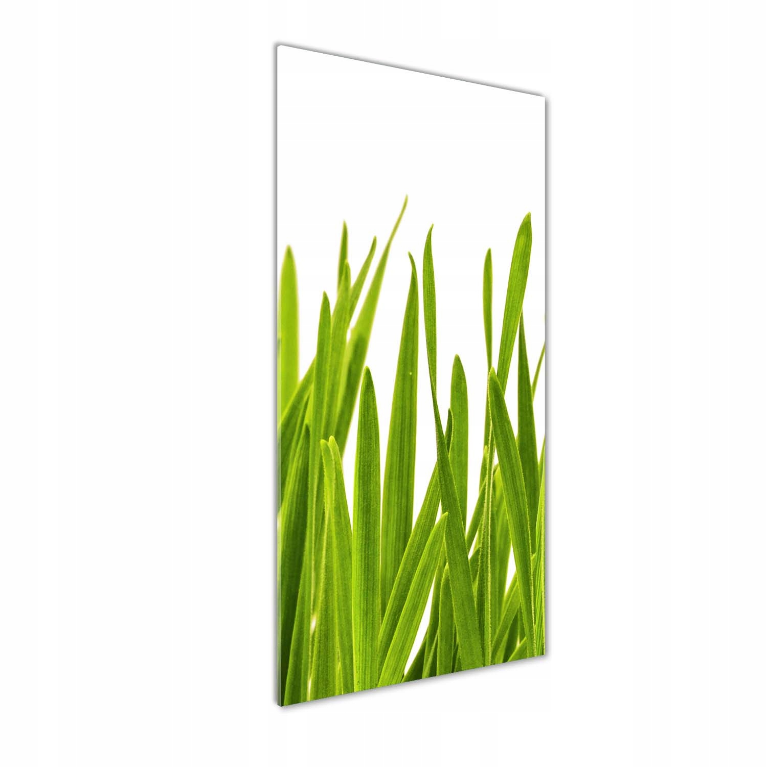 

Foto obraz akrylowy do salonu Zielona trawa 50x125