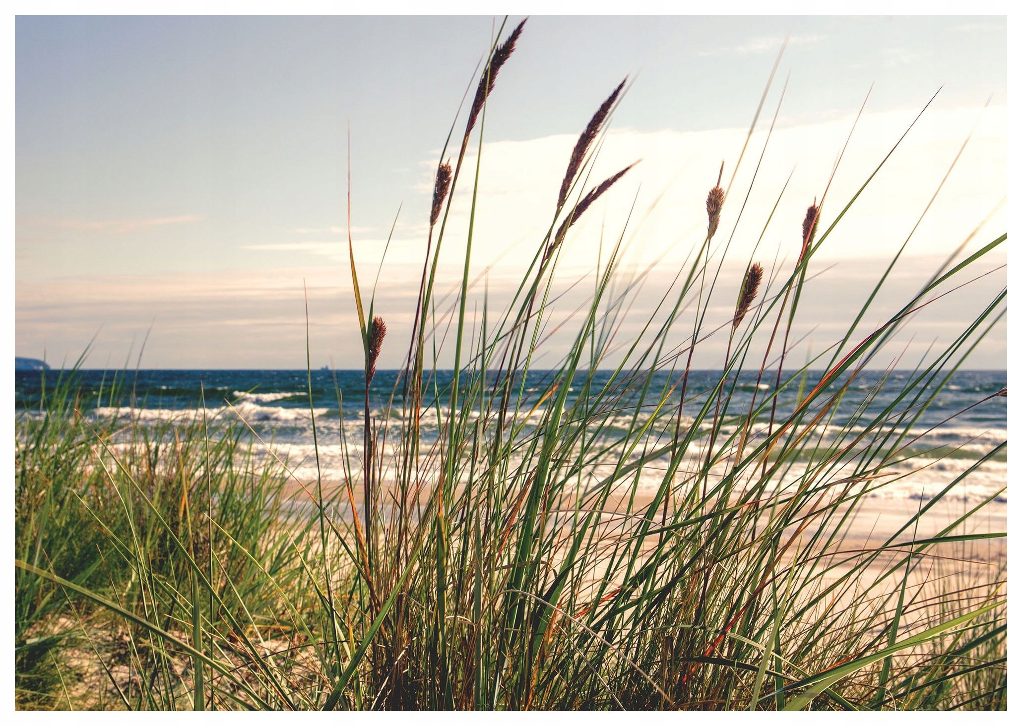 Vliesová fototapeta Pláž More Tráva Piesok Relax Krajina 400x280 lepidlo