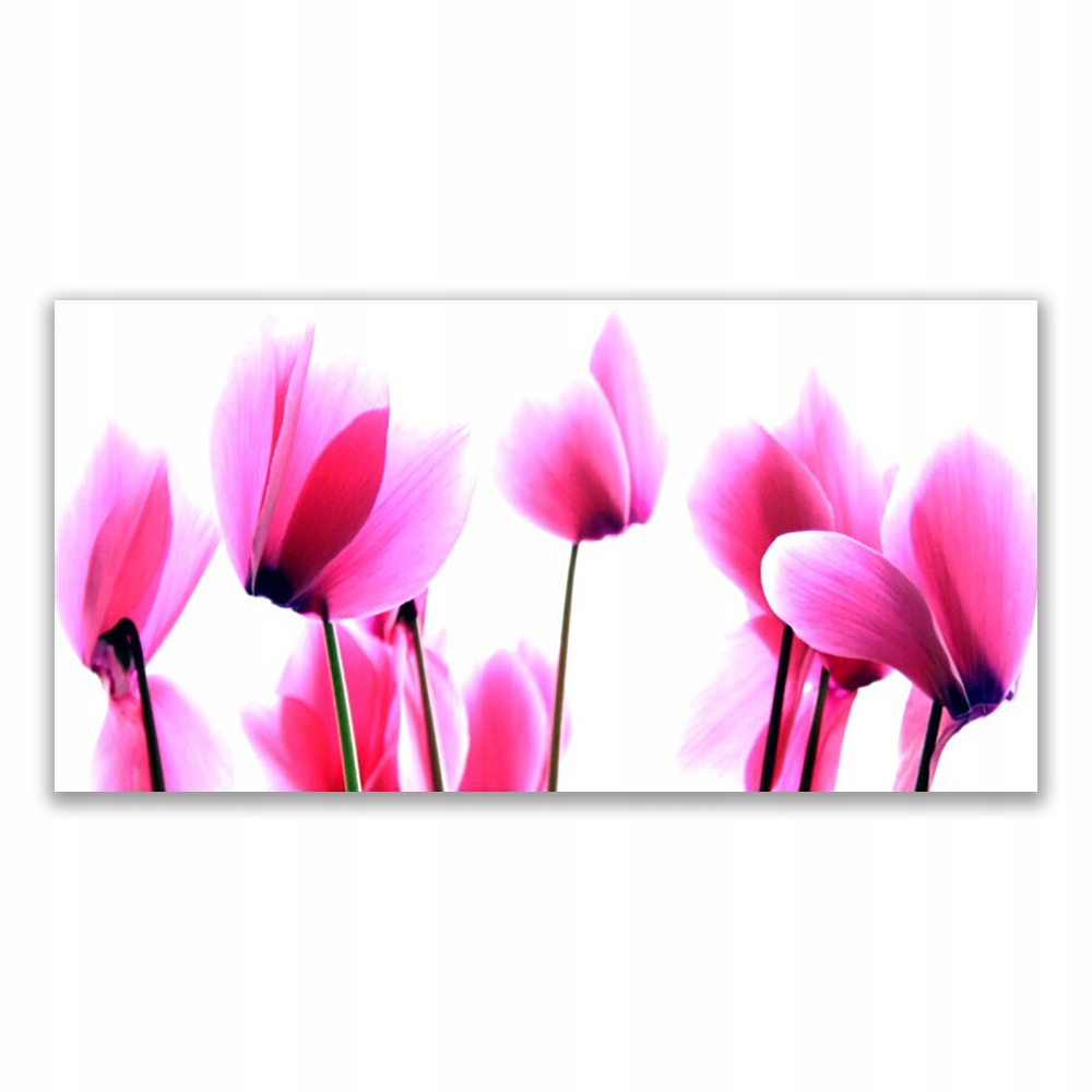 

Fotoobraz akryl nowoczesny 140x70 Kwiaty Roślina