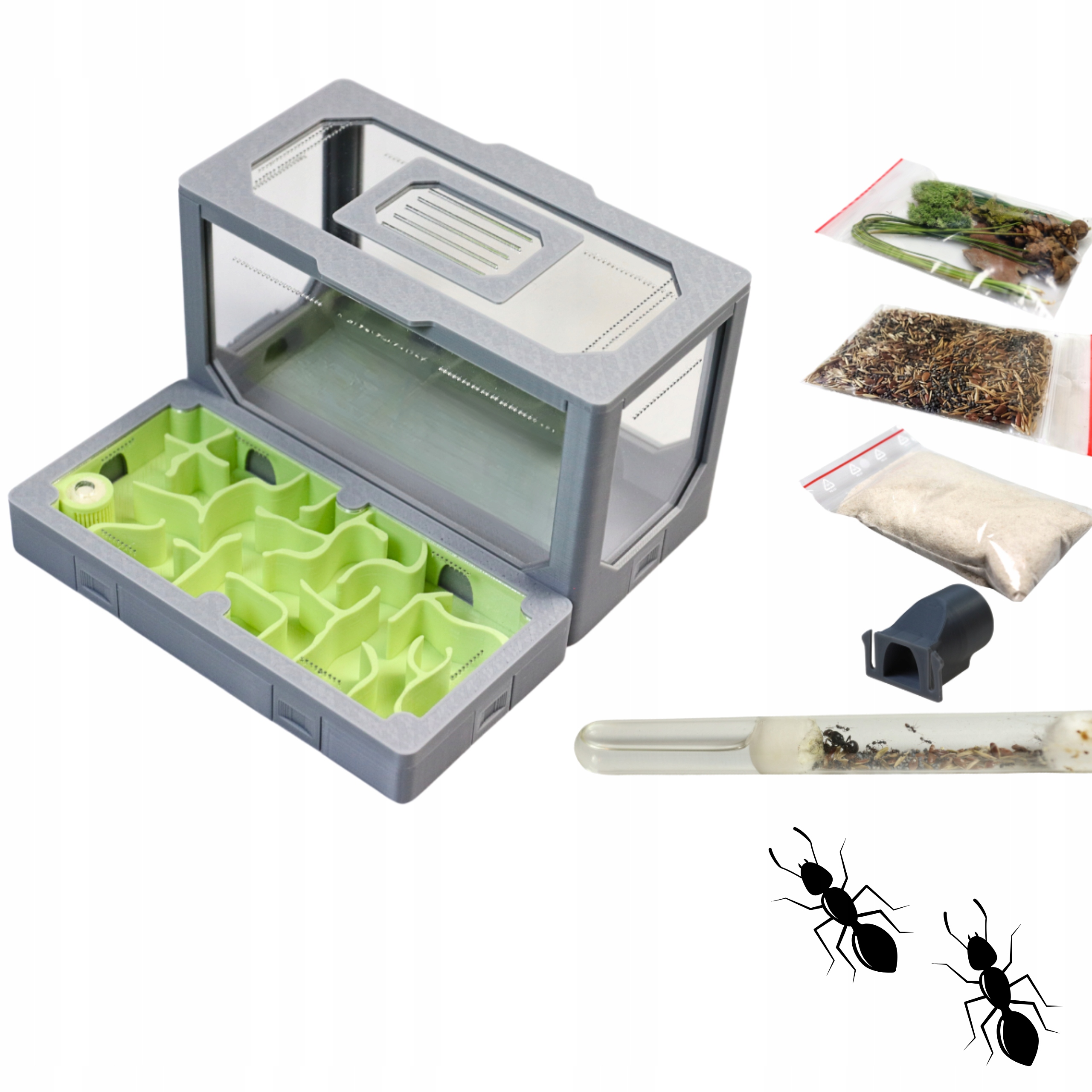 Formikarium Modułowe AntLove- zestaw nr 2 zielony z Messor barbarus