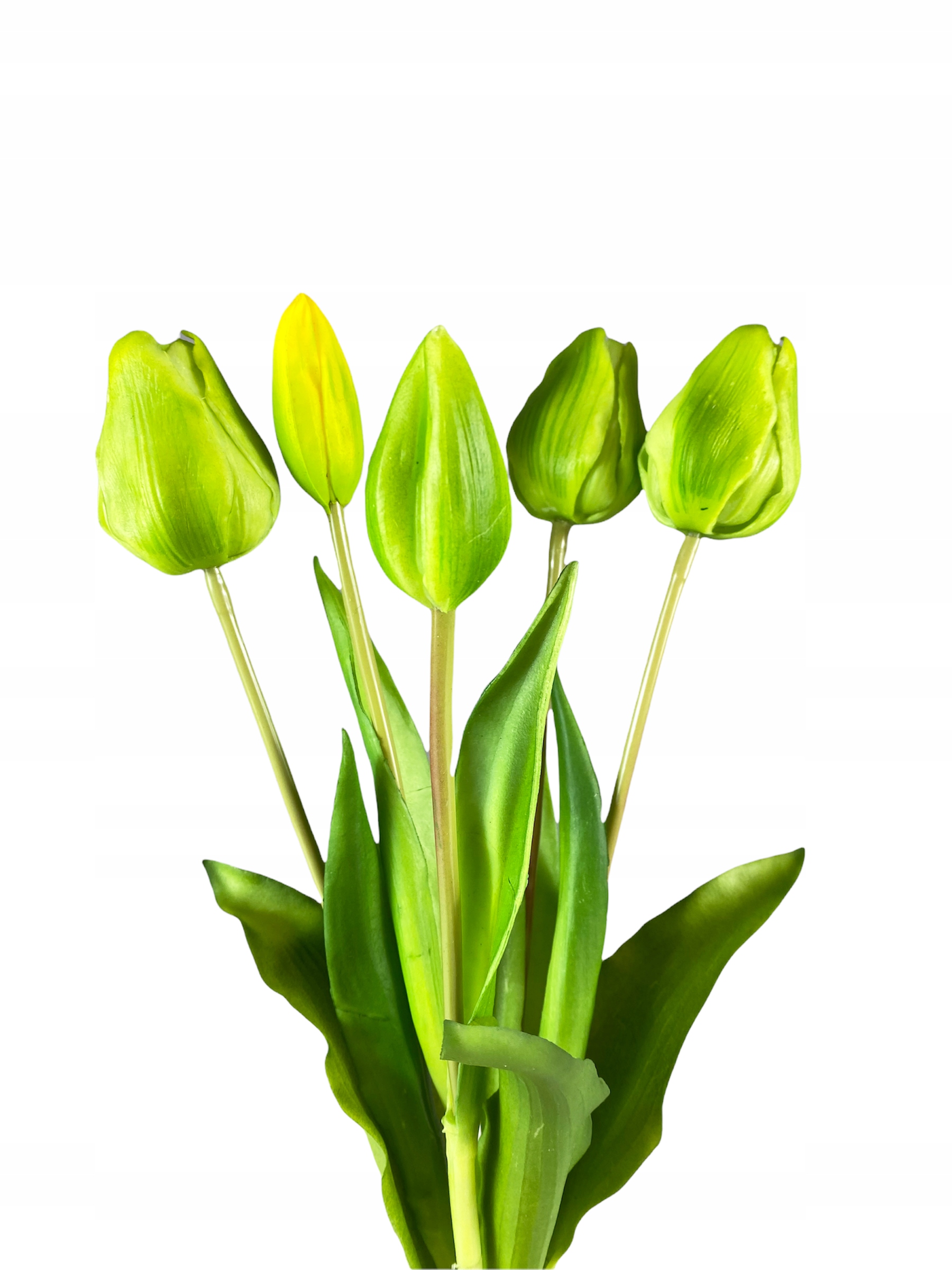 

Tulipany Gumowane Kwiaty Jak Żywe Zielone 40 CM