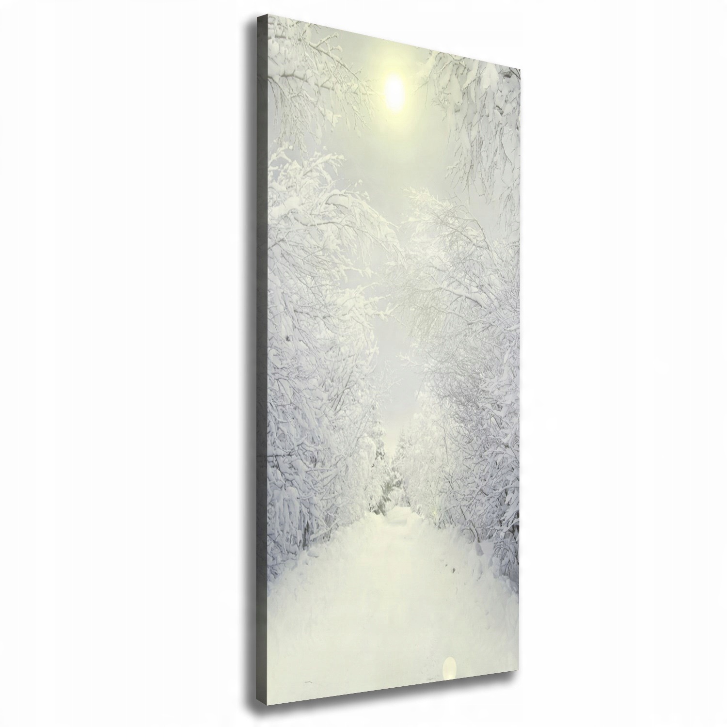 

Foto obraz na płótnie do salonu Las zimą 50x125 cm