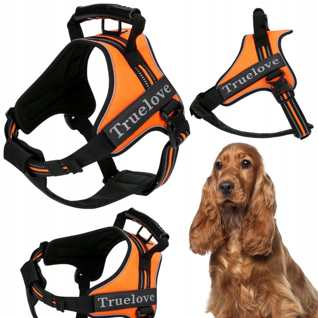 Postroj Pro Psa Pracujícího S Rukojetí Truelove Outdoor Oranžový
