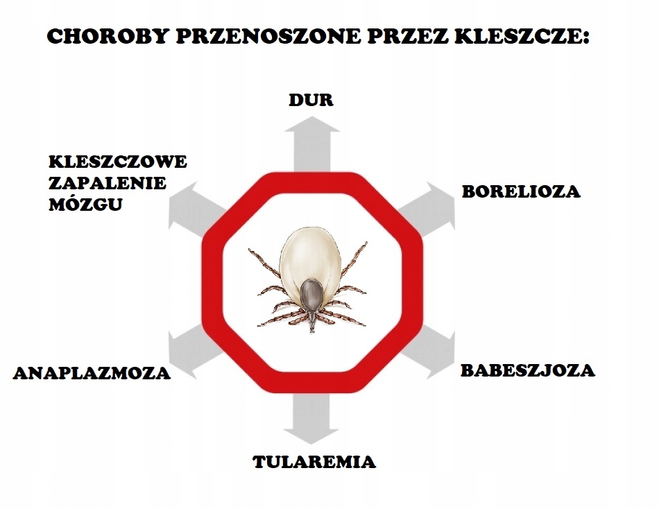 VACO KIDS Spray KOMARY KLESZCZE MESZKI dla dzieci Pojemność 100 ml