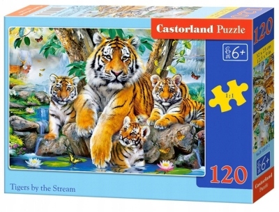 

Puzzle 120: Tigers by the Stream