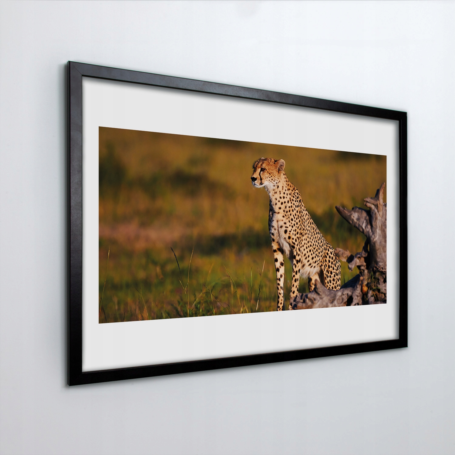 Obraz v rámu na zeď Gepard strom tráva 60x40